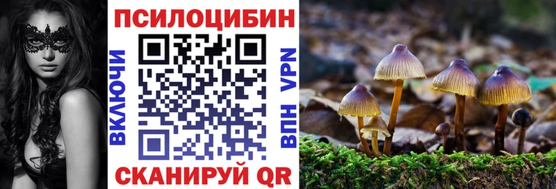 Псилоцибиновые грибы Psilocybe  Купить где  Инсар 